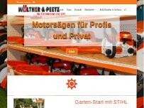 Website Screenshot Walther & Peetz