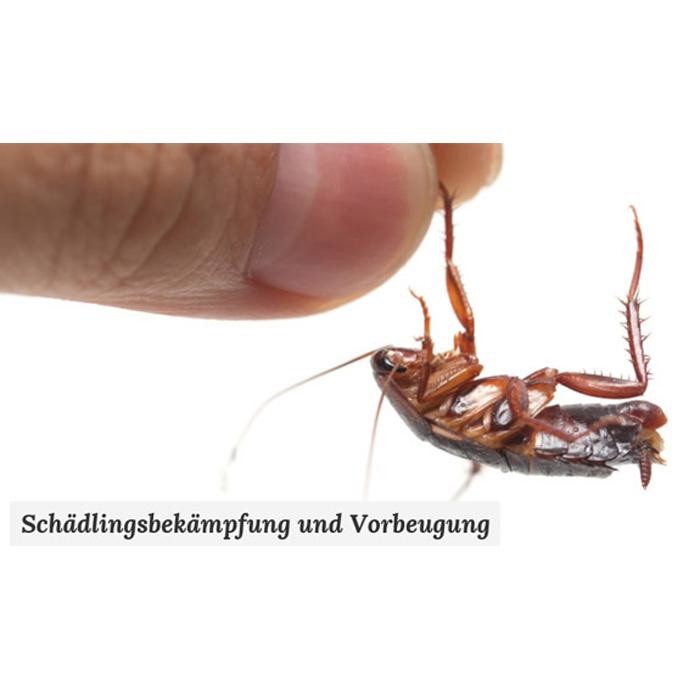 Bilder Enviro Pest Control GmbH