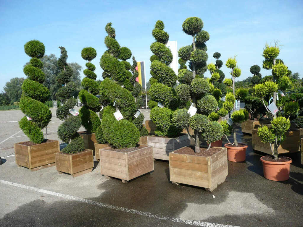 Bilder Hermann Meyer Garten- und Landschaftsbau