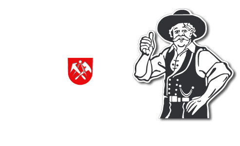 Dachdeckermeister Bert Wöller Logo