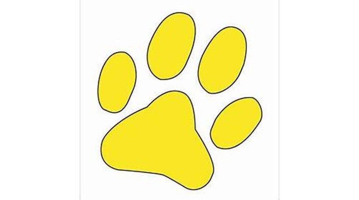 Bilder Pfötchen Hundebedarf