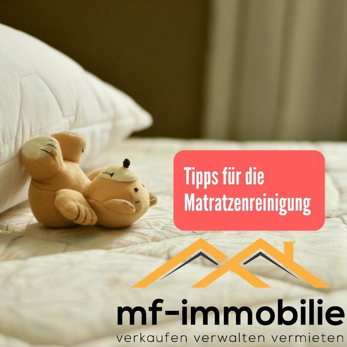Bilder mf-immobilie