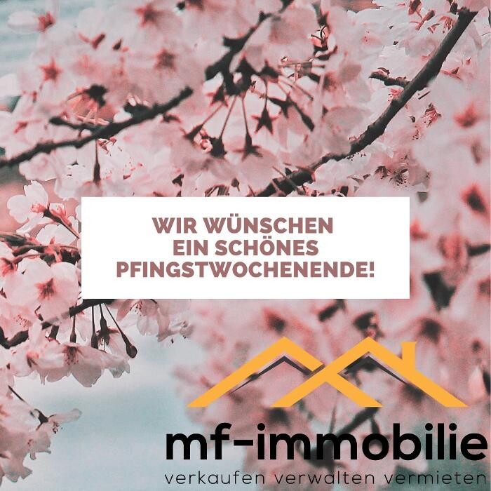 Bilder mf-immobilie