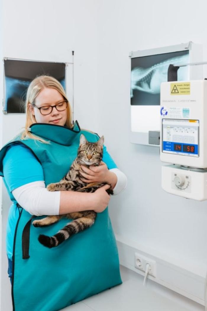 Bilder Tierarztpraxis Dorum