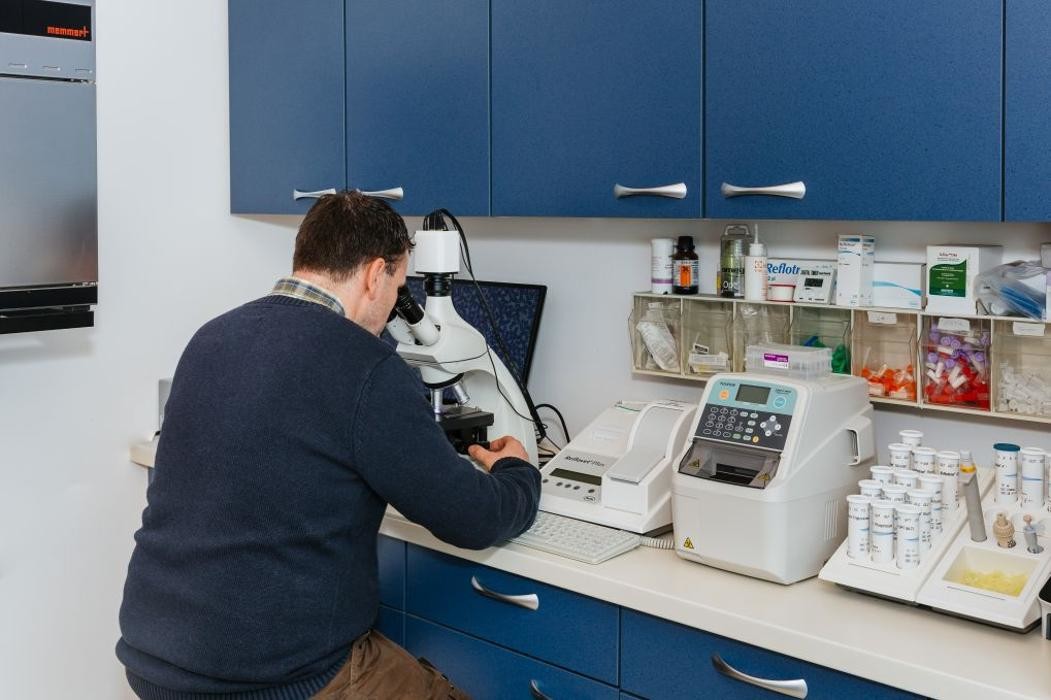 Bilder Tierarztpraxis Dorum