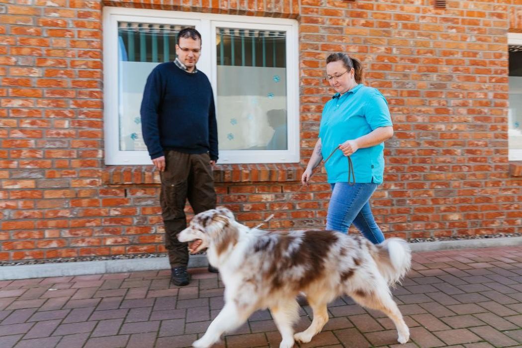 Bilder Tierarztpraxis Dorum