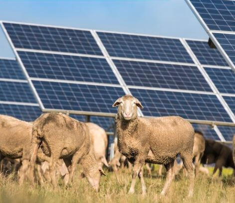 Bilder PROJEKTKANZLEI | Rechtsanwalt Sebastian Lange