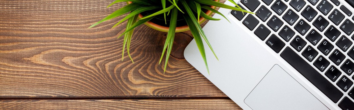 Bilder Malermeister Bad Schwartau - Papilio Farben & Bodenbeläge