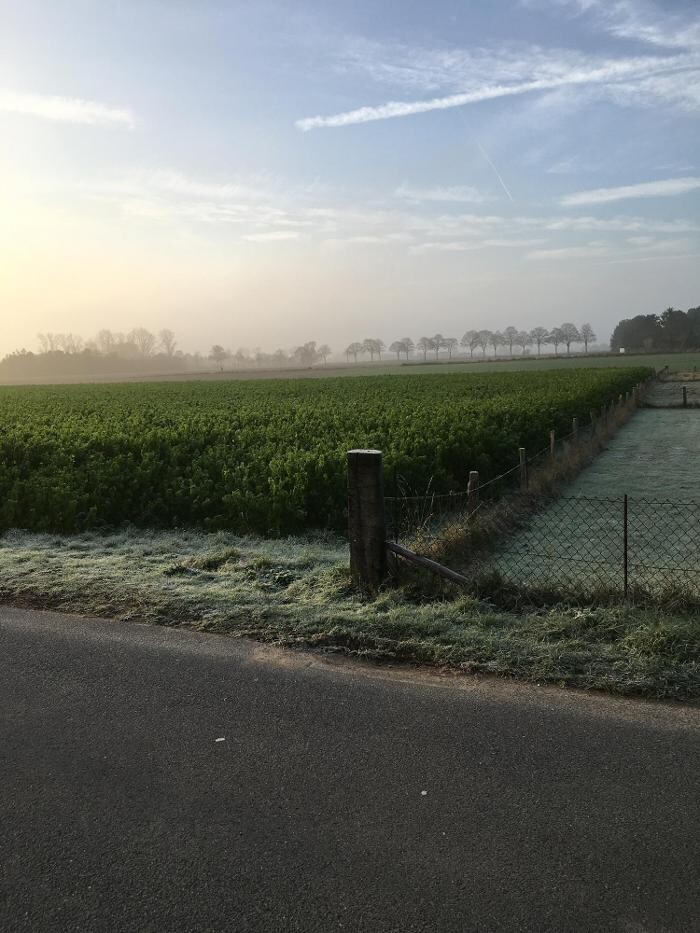 Bilder Fahrradverleih Xanten