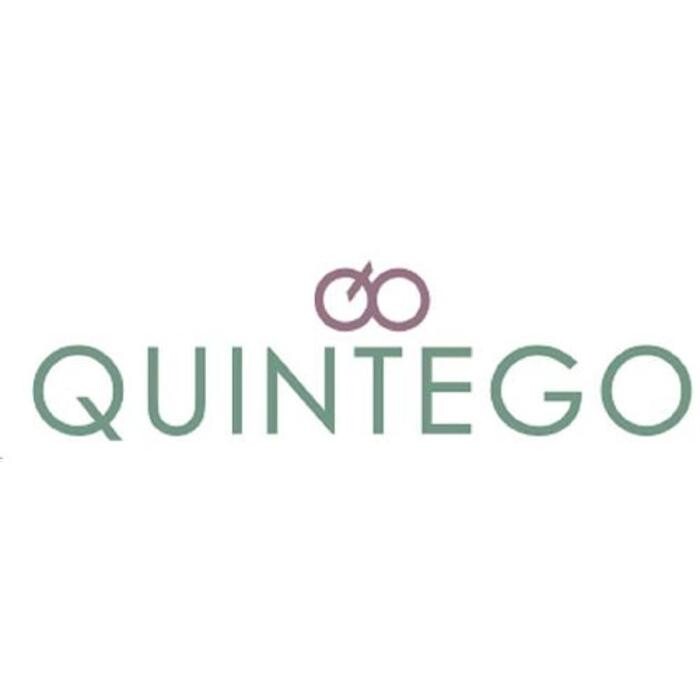 Quintego Riskmanagement & Investigation Logo