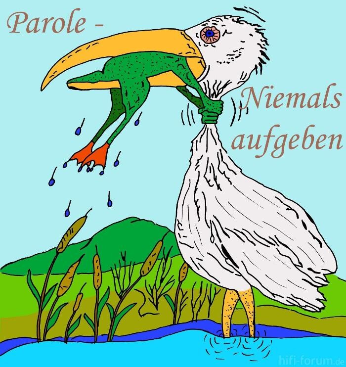 Bilder Kleeblatt Rheine e.V.