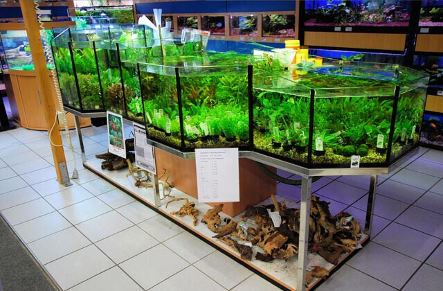 Bilder Zoo Fachmarkt Brändle