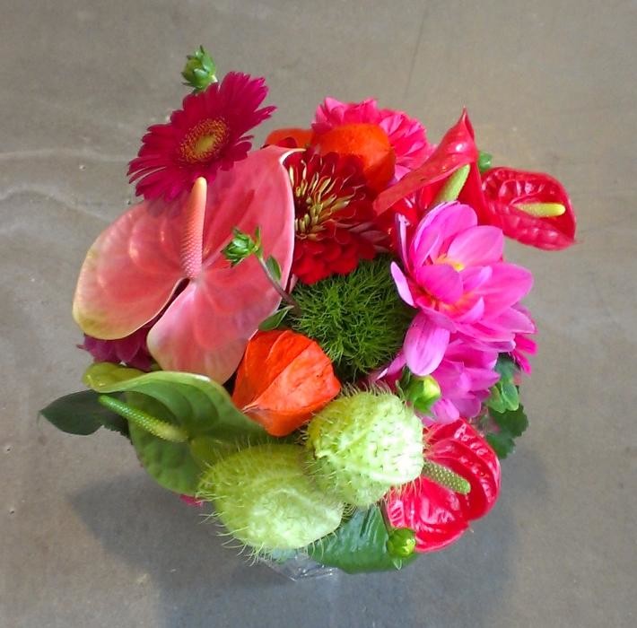 Bilder Flora et labora Assia Frankl