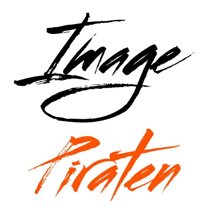 Image Piraten Logo