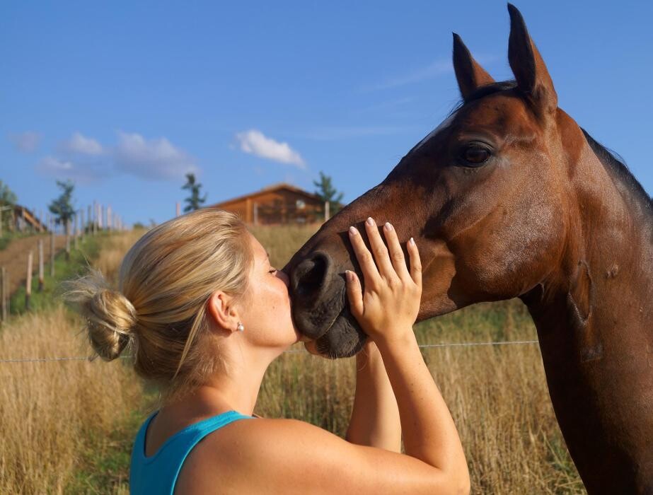 Bilder Coaching zum Glück
