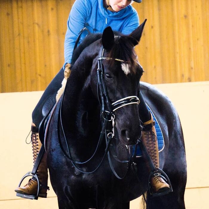 Bilder Coaching zum Glück