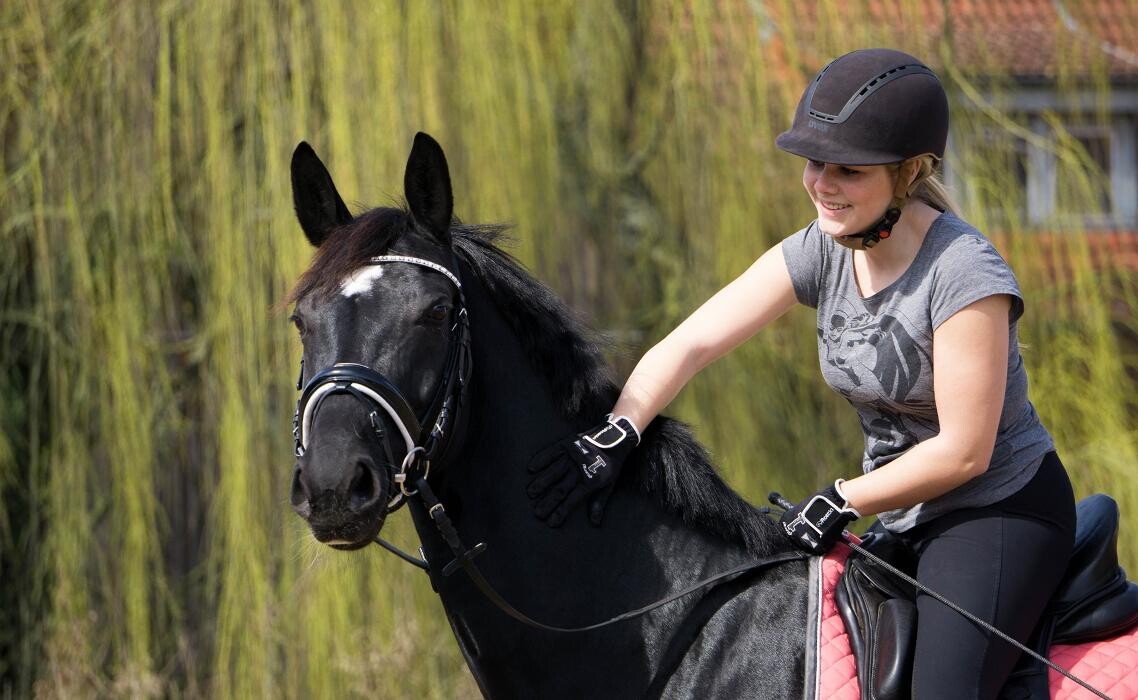 Bilder Coaching zum Glück