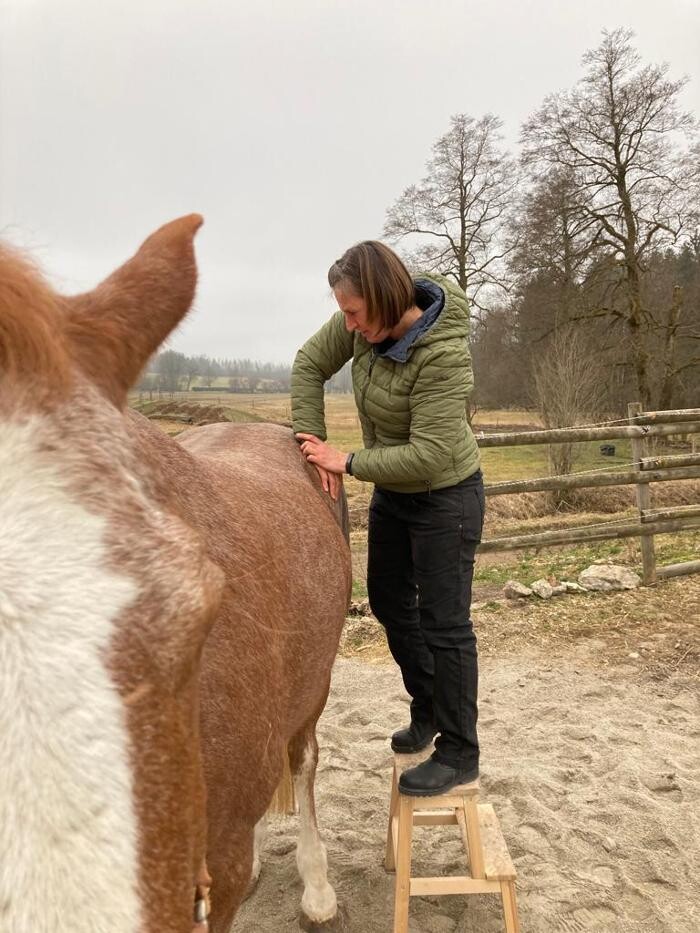 Bilder Nicola Annaberger, Pferdeosteopathie Oberland, Pferdephysiotherapie Oberbayern, Pferdeosteopathie Oberbayern, Osteo Pferd