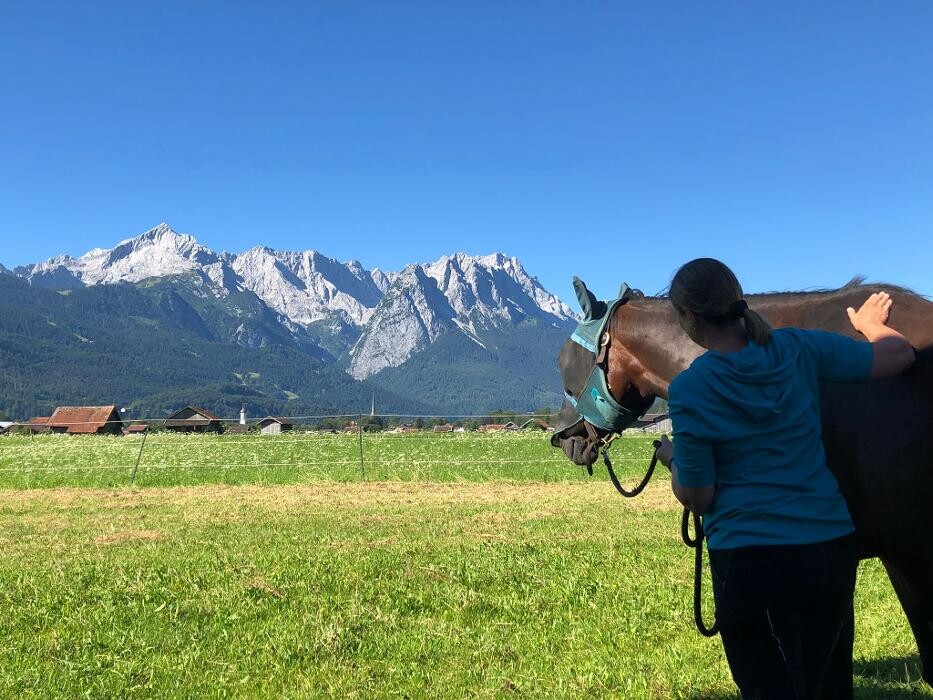 Bilder Nicola Annaberger, Pferdeosteopathie Oberland, Pferdephysiotherapie Oberbayern, Pferdeosteopathie Oberbayern, Osteo Pferd