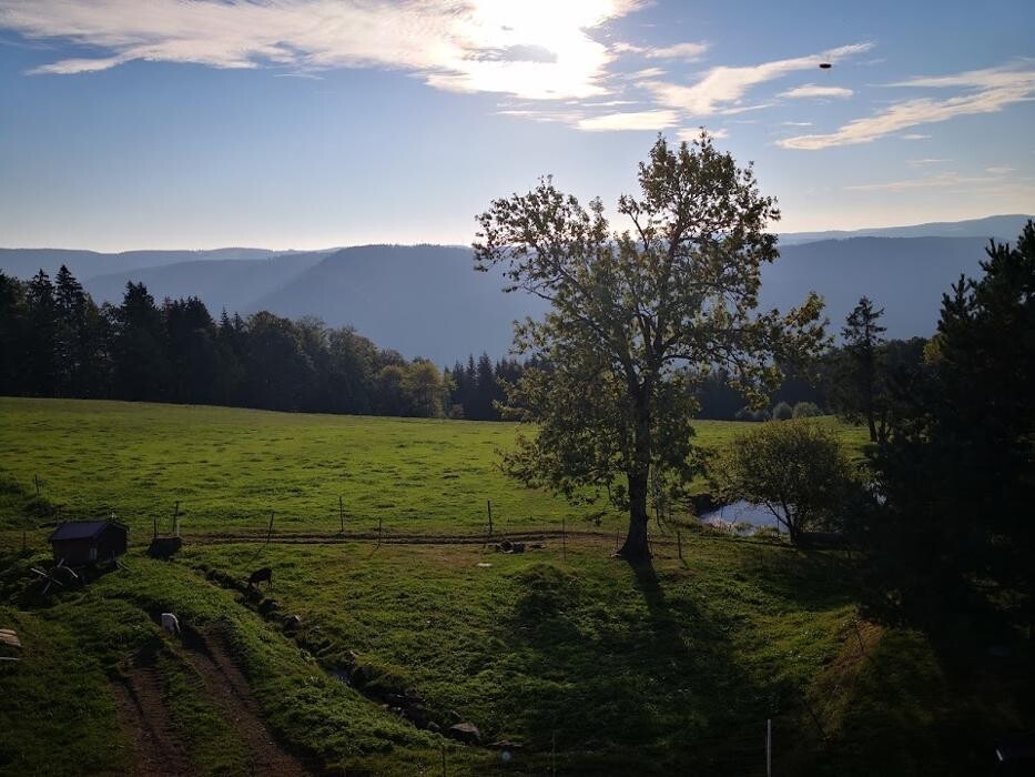 Bilder Ferienparadies Althäuslehof
