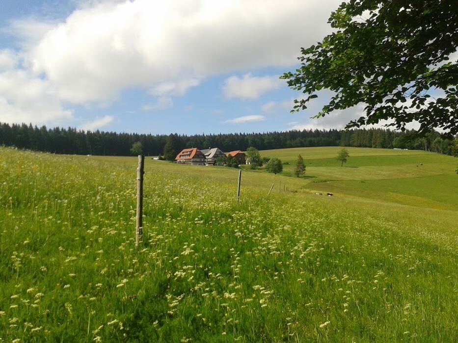 Bilder Ferienparadies Althäuslehof