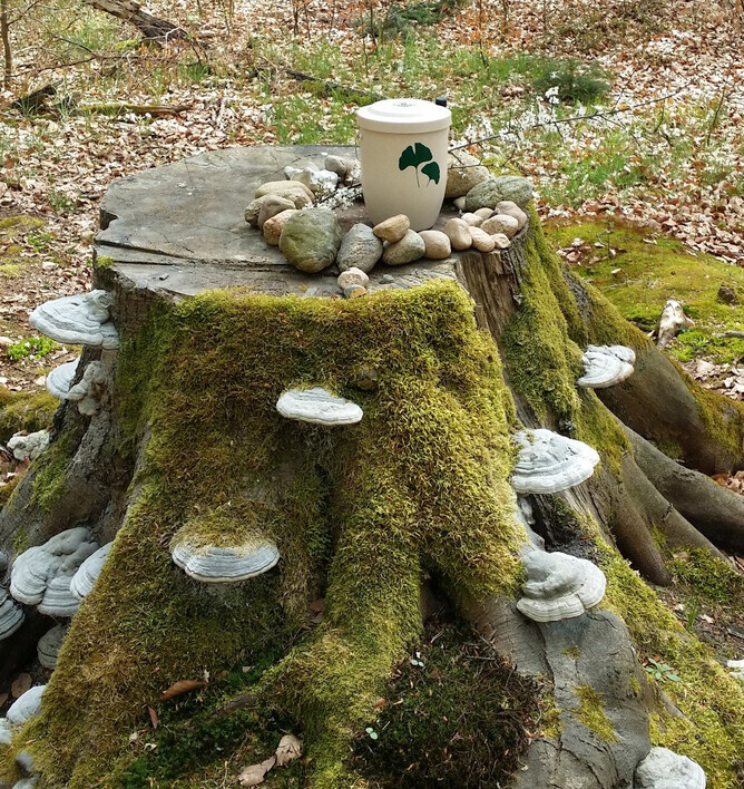 Bilder Bestattungshaus Malchow Uwe Schwarz