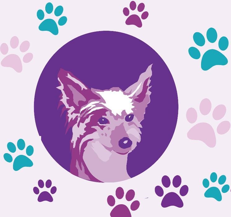 Ferjuschin`s Fashion for Dogs Logo