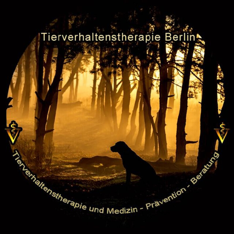 Bilder Dr. med. vet. Stephanie Adams - Tierverhaltenstherapie