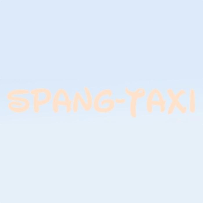 Bilder Spang Taxi Service