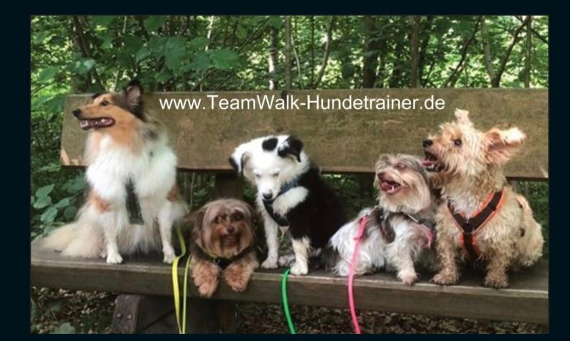 Bilder Teamwalk-Hundetrainer