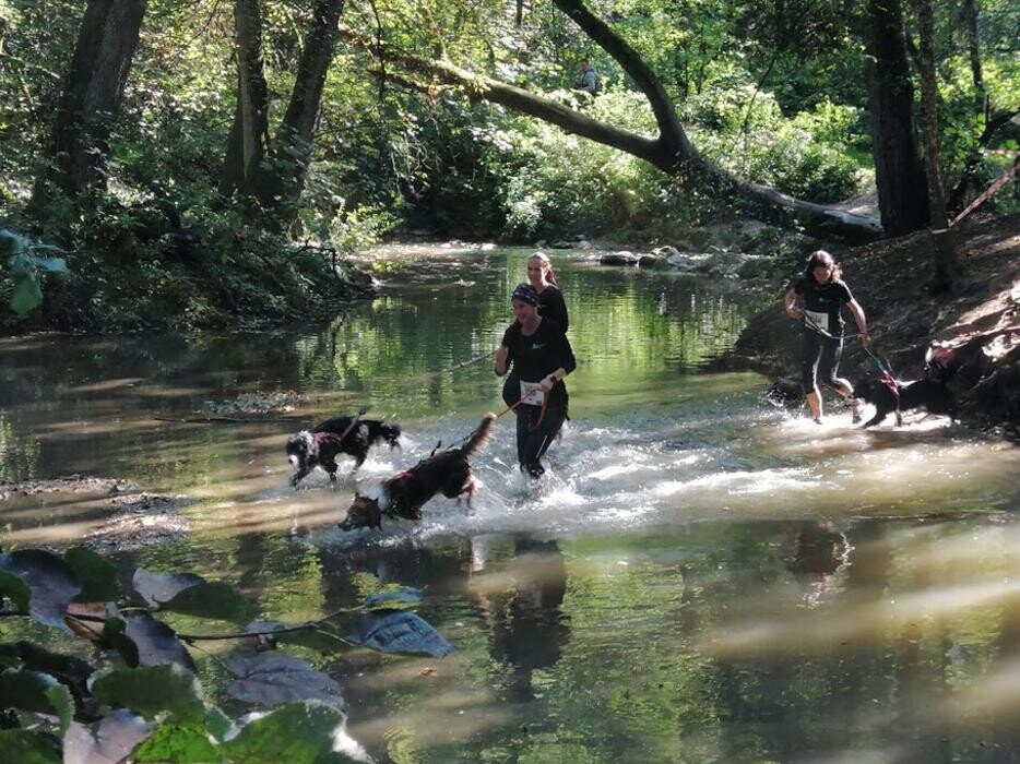 Bilder Dogs Adventure Chiemgau- Zughundesport Bollinger