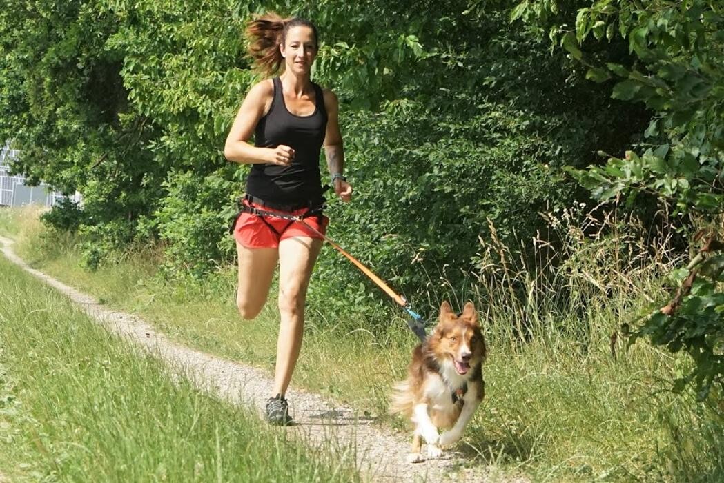 Bilder Dogs Adventure Chiemgau