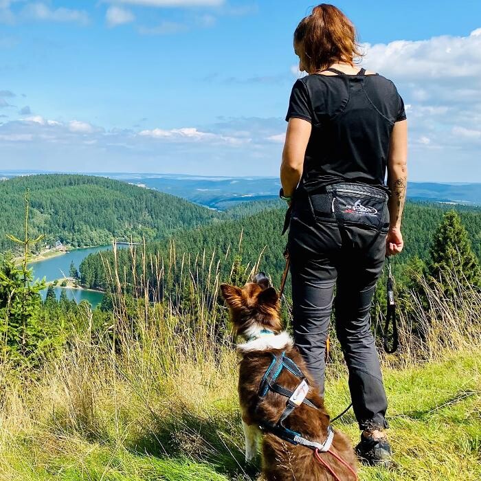 Bilder Dogs Adventure Chiemgau