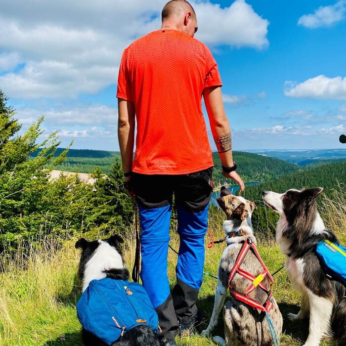 Bilder Dogs Adventure Chiemgau