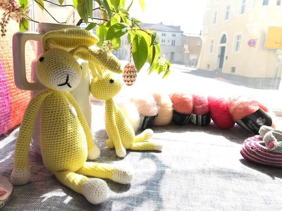 Bilder Hirsch & Hase