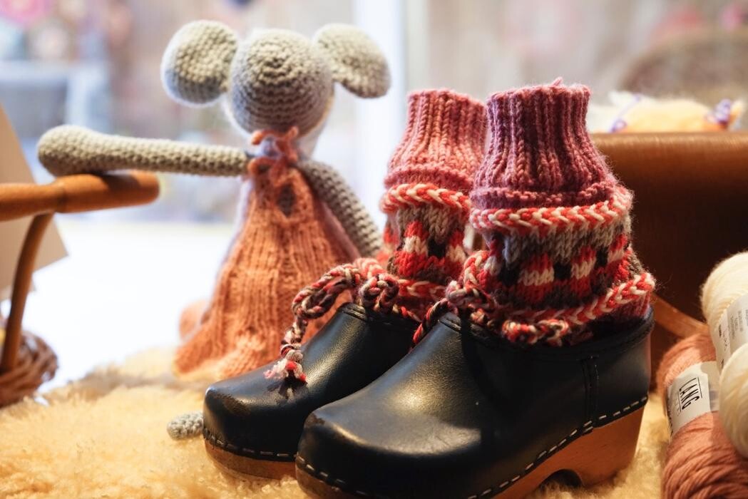 Bilder Hirsch & Hase