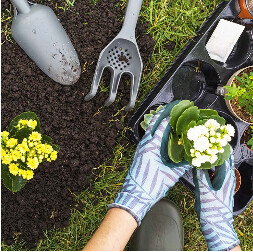 Bilder Litaj Gebäudeservice