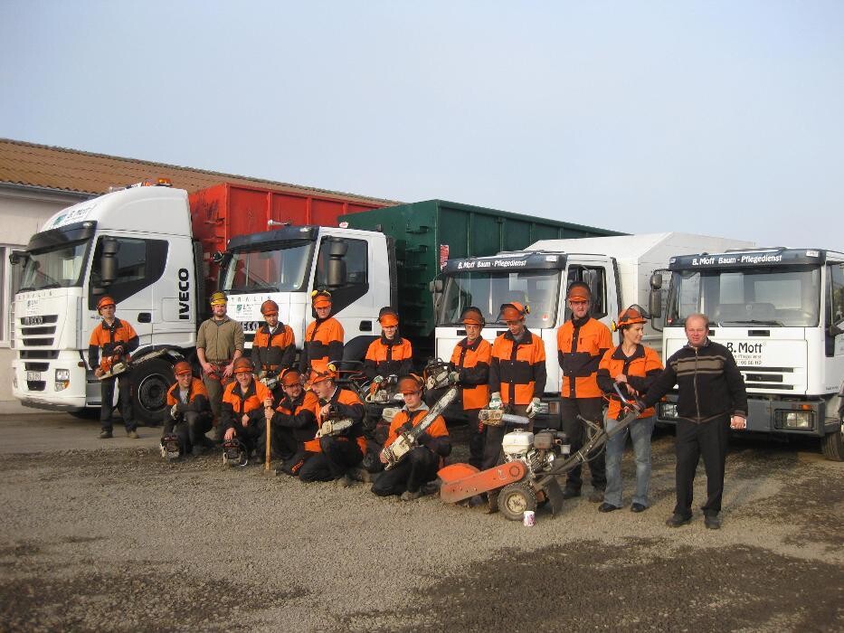 Bilder Baumpflege-Mott