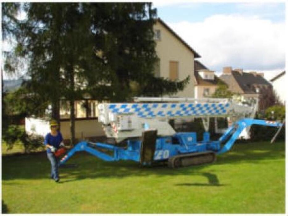 Bilder Baumpflege-Mott