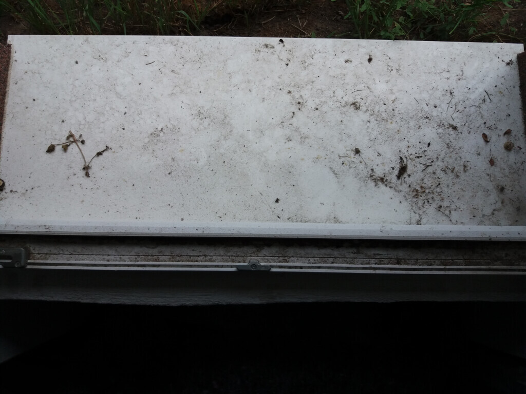 Bilder Glasreinigung Thomas Berger