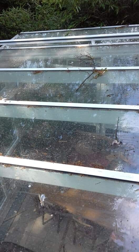 Bilder Glasreinigung Thomas Berger