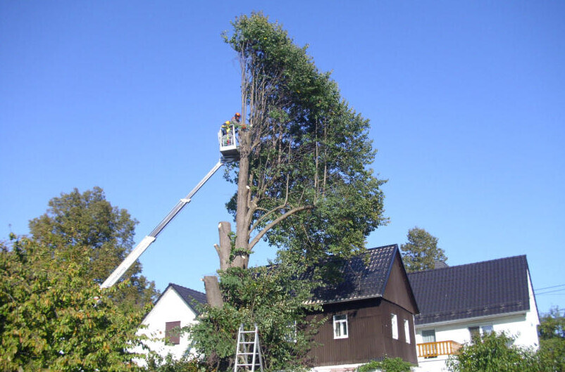 Bilder Die Helfende Hand GmbH und Co.KG