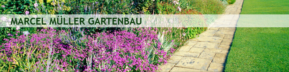 Bilder Marcel Müller Gartenbau