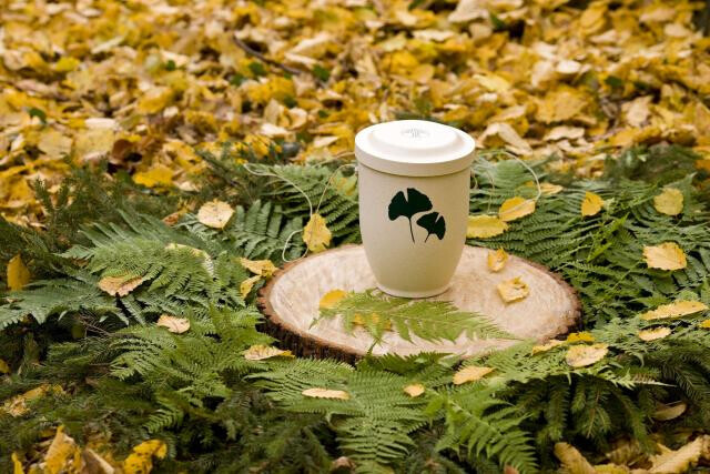 Bilder Anternia Bundesweite Bestattungen