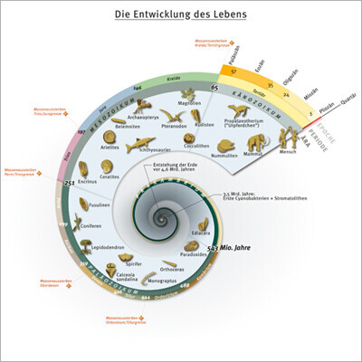 Bilder Emde Grafik