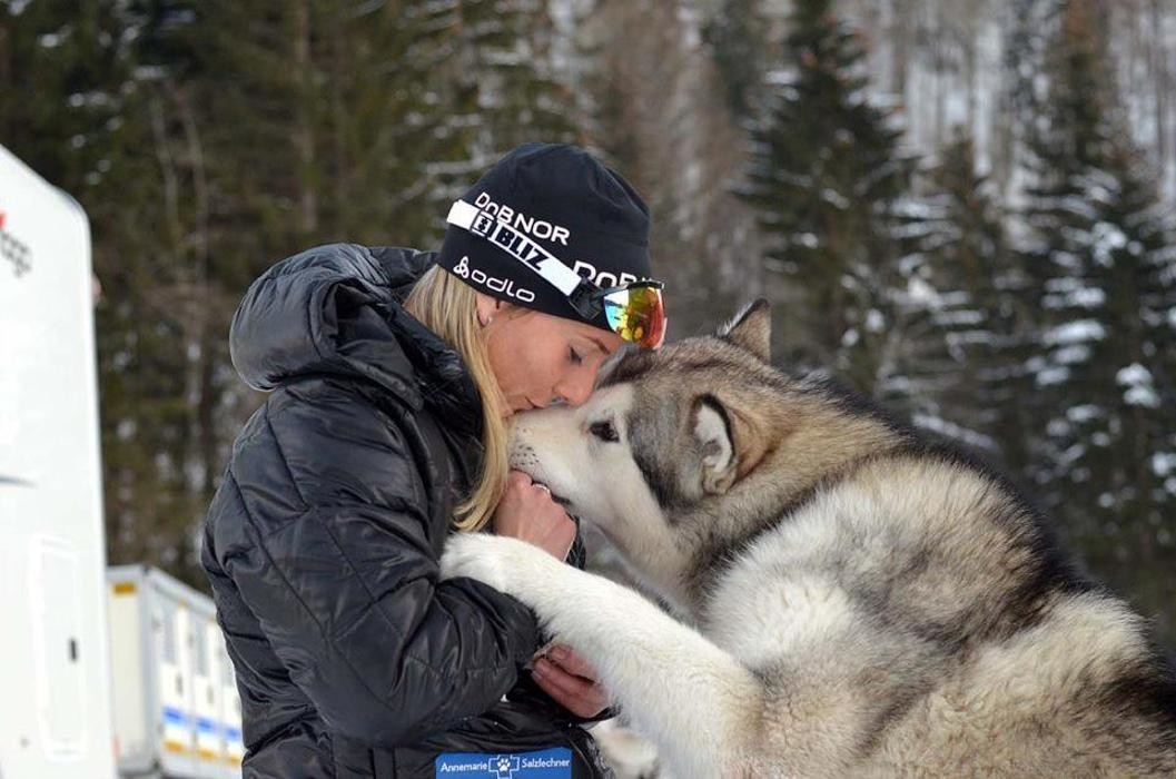 Bilder Huskynature