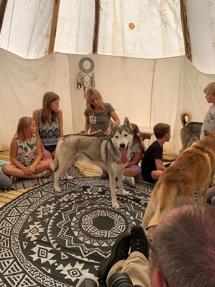 Bilder Huskynature