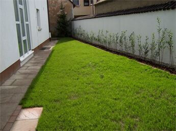 Bilder Gartenservice Andreas Perner