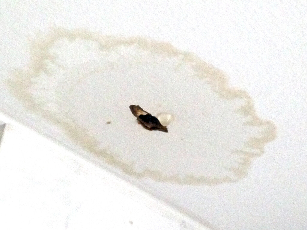 Bilder Kai-Uwe Kugelmann Architekt Dipl.-Ing. (FH)