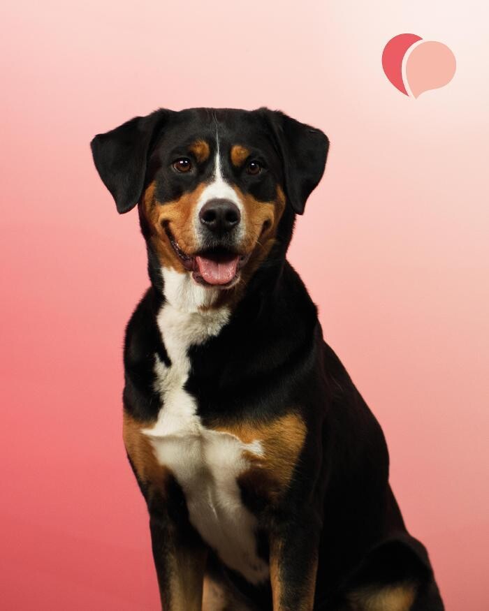 Bilder Pflegehelden Rostock | 24 Stunden Pflege und Betreuung